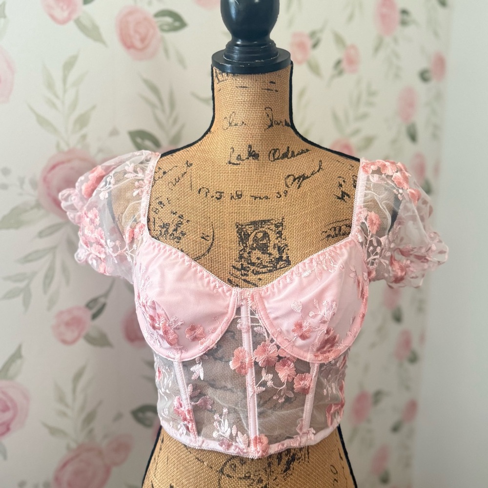 Blush Pink Lace Floral Appliqué Bustier Corset Top